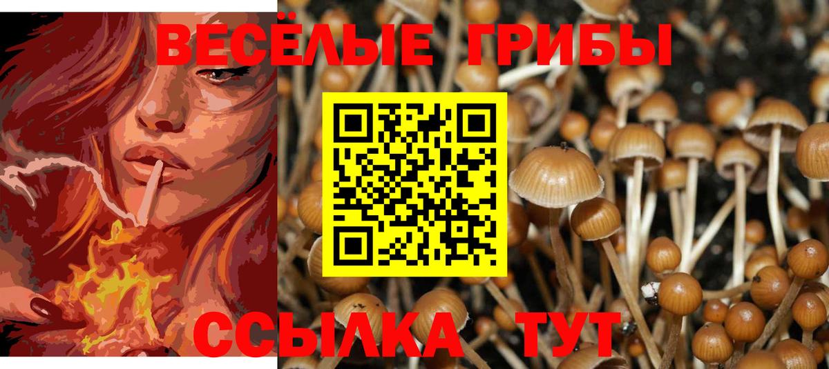 Верхняя Салда  дарнет шоп  Псилоцибиновые грибы Cubensis  Вход с VPN  Псилоцибиновые грибы мицелий 